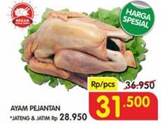 Promo Harga Ayam Pejantan  - Superindo