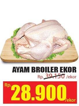 Promo Harga Ayam Broiler  - Hari Hari