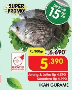 Promo Harga Ikan Gurame per 100 gr - Superindo