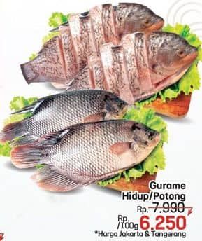 Promo Harga Ikan Gurame Hidup per 100 gr - LotteMart