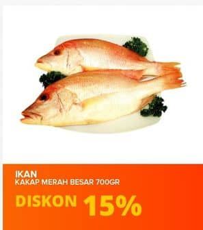 Promo Harga Ikan Kakap Merah Besar per 700 gr - Yogya