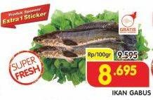 Promo Harga Ikan Gabus per 100 gr - Superindo