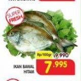 Promo Harga Ikan Bawal Hitam per 100 gr - Superindo