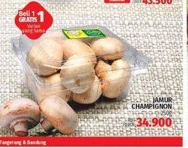 Promo Harga Jamur Champignon (Jamur Kancing) 250 gr - LotteMart