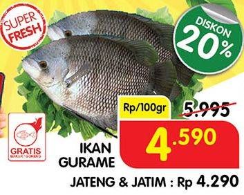 Promo Harga Ikan Gurame per 100 gr - Superindo