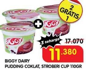 Promo Harga Biggy Dairy Pudding Chocolate, Strawberry 105 gr - Superindo