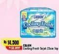 Charm Extra Comfort Cooling Fresh