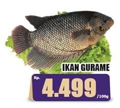 Promo Harga Ikan Gurame per 100 gr - Hari Hari