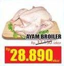 Promo Harga Ayam Broiler  - Hari Hari