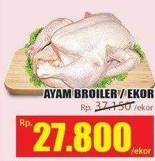 Promo Harga Ayam Broiler  - Hari Hari