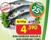 Promo Harga Ikan Kembung Como, Banjar per 100 gr - Superindo