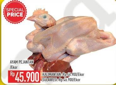 Promo Harga Ayam Pejantan  - Hypermart