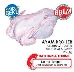 Promo Harga Ayam Broiler  - Lotte Grosir