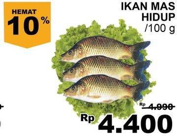 Promo Harga Ikan Mas Hidup per 100 gr - Giant