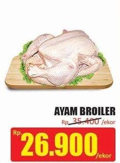 Promo Harga Ayam Broiler  - Hari Hari