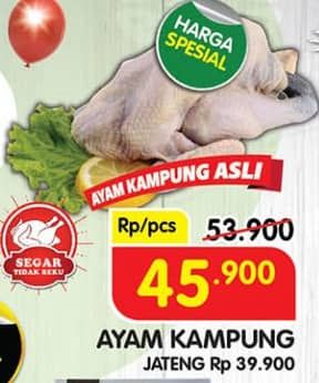 Promo Harga Ayam Kampung 500 gr - Superindo