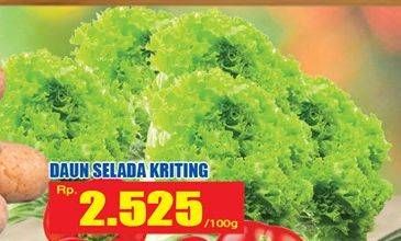 Promo Harga Daun Selada Kriting per 100 gr - Hari Hari