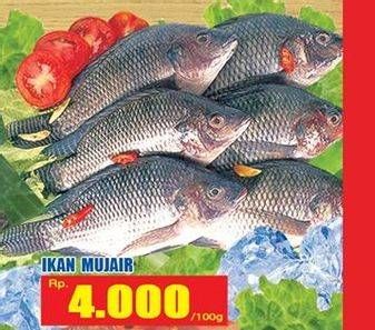 Promo Harga Ikan Mujair per 100 gr - Hari Hari