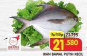 Promo Harga Ikan Bawal Putih Kecil per 100 gr - Superindo
