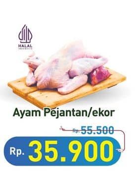 Promo Harga Ayam Pejantan 500 gr - Hypermart