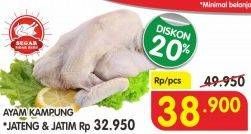 Promo Harga Ayam Kampung  - Superindo