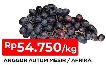 Promo Harga Anggur Autumn Afrika, Mesir  - TIP TOP