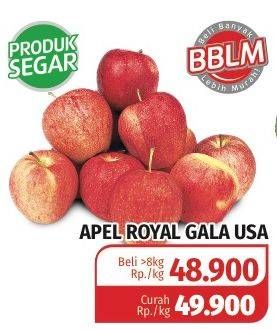 Promo Harga Apel Royal Gala USA  - Lotte Grosir