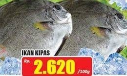 Promo Harga Ikan Kipas per 100 gr - Hari Hari