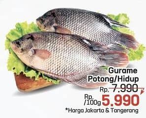 Promo Harga Ikan Gurame Hidup per 100 gr - LotteMart