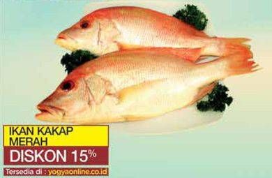 Promo Harga Ikan kakap merah  - Yogya