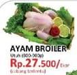 Promo Harga Ayam Broiler  - Yogya