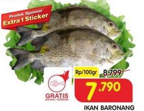 Promo Harga Ikan Baronang per 100 gr - Superindo