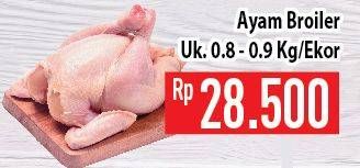 Promo Harga Ayam Broiler  - Hypermart