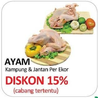 Promo Harga Ayam Kampung & Jantan  - Yogya