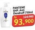 Promo Harga Pantene Shampoo Anti Dandruff 750 ml - Alfamidi