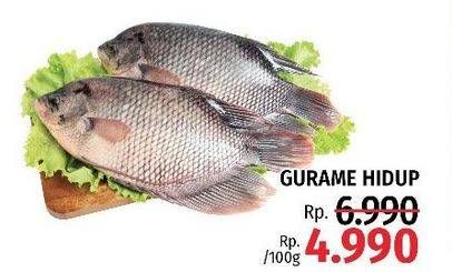 Promo Harga Ikan Gurame Hidup per 100 gr - LotteMart