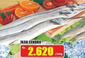Promo Harga Ikan Cendro per 100 gr - Hari Hari