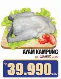 Promo Harga Ayam Kampung per 100 gr - Hari Hari