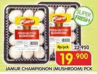 Promo Harga Jamur Champignon (Jamur Kancing)  - Superindo