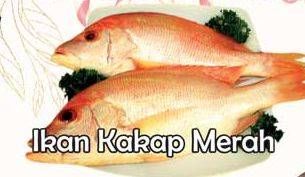 Promo Harga Ikan Kakap Merah Besar per 100 gr - Yogya