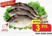 Promo Harga Ikan Ayam-Ayam per 100 gr - Superindo