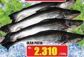 Promo Harga Ikan Patin per 100 gr - Hari Hari