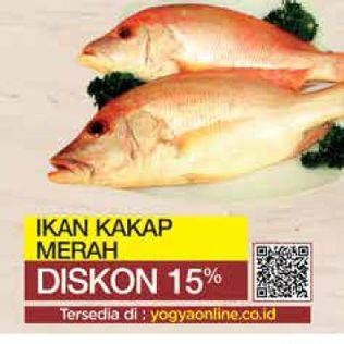 Promo Harga Ikan kakap merah  - Yogya