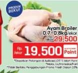 Promo Harga Ayam Broiler 700 gr - LotteMart