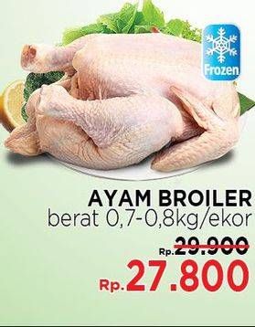 Promo Harga Ayam Broiler  - LotteMart