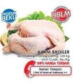 Promo Harga Ayam Broiler  - LotteMart