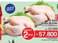 Ayam Broiler