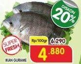 Promo Harga Ikan Gurame per 100 gr - Superindo