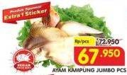 Promo Harga Ayam Kampung Jumbo  - Superindo