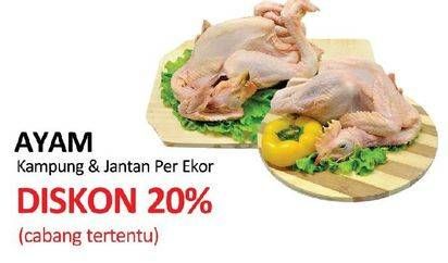 Promo Harga Ayam kampung / Ayam Pejantan  - Yogya